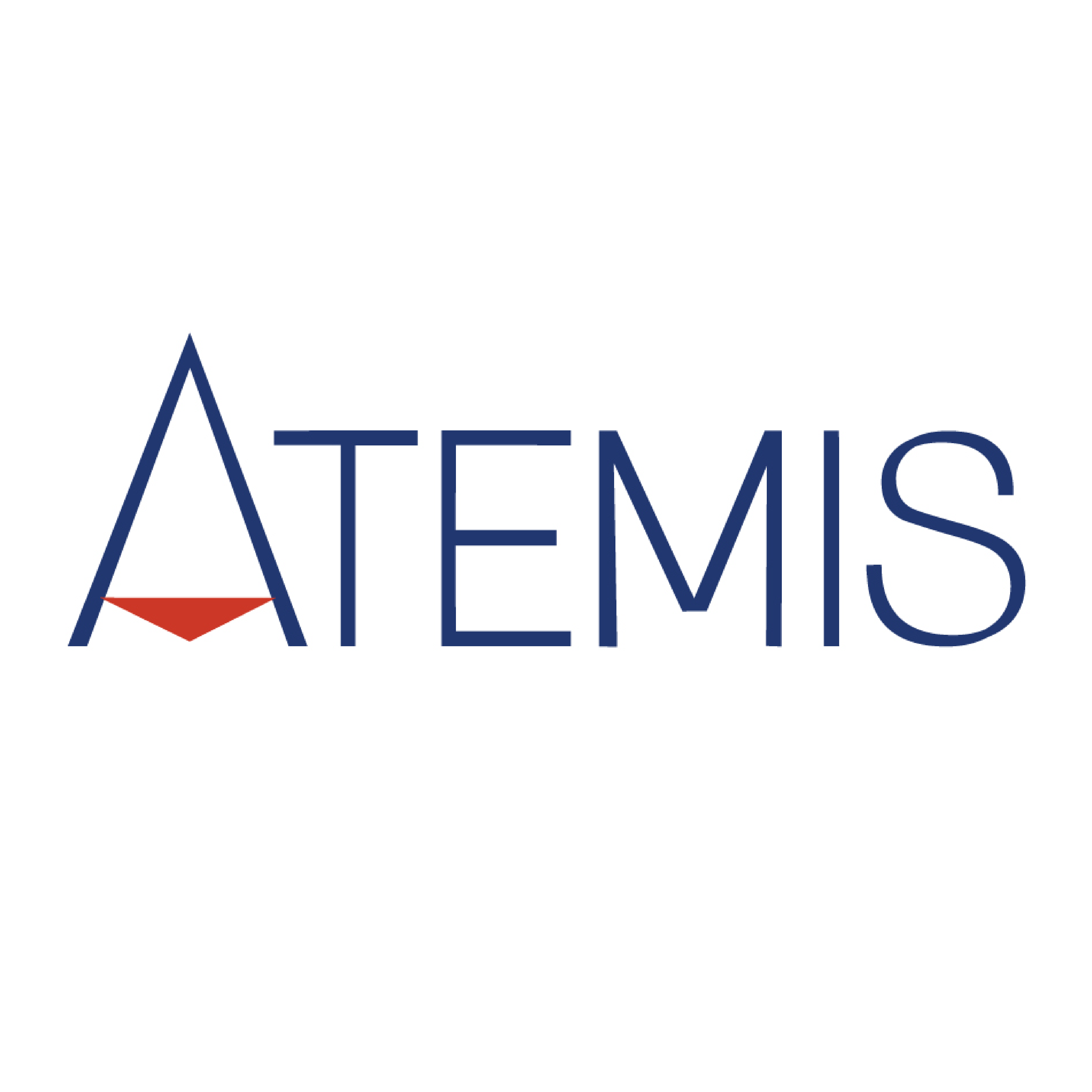 atemis_Plan de travail 1