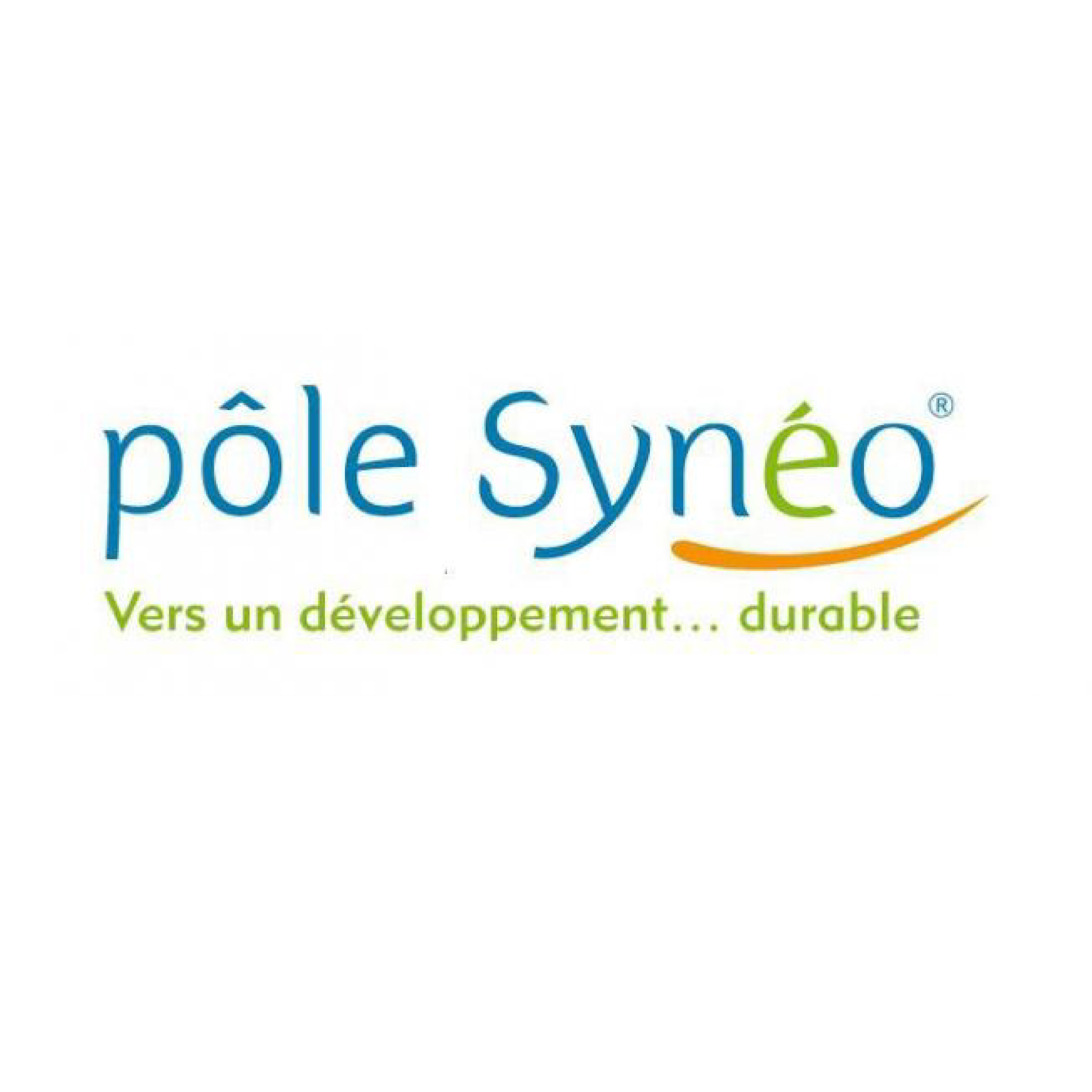pole syneo_Plan de travail 1